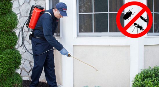 Asarlık Akrep İlaçlama böcek ilaçlama ve haşere kontrolü — ilaclama-tr.com